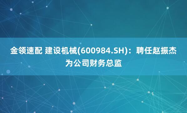 金领速配 建设机械(600984.SH)：聘任赵振杰为公司财务总监