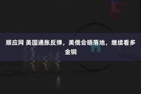 顺应网 美国通胀反弹，美俄会晤落地，继续看多金铜