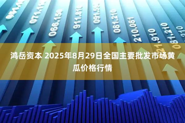 鸿岳资本 2025年8月29日全国主要批发市场黄瓜价格行情