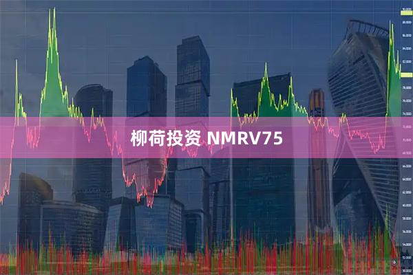 柳荷投资 NMRV75